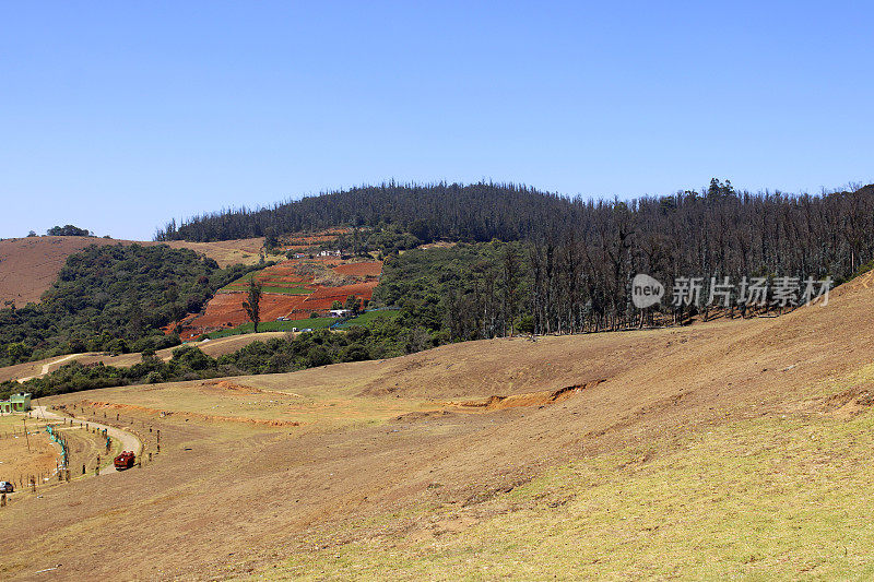 Pagalkod Mund, Ooty，泰米尔纳德邦春天美丽的风景